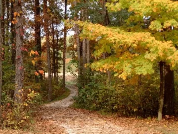 [Hearth.com] Picture test of driveway