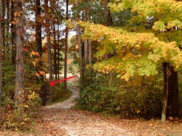 [Hearth.com] Picture test of driveway