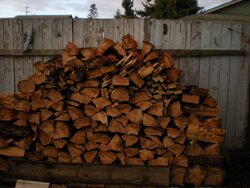 New load of wood