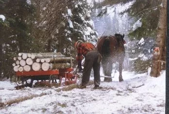 [Hearth.com] Winter time wood transport