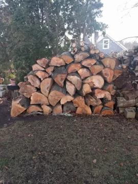 [Hearth.com] Large Norway maple taken down