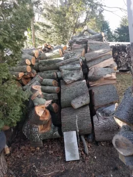 [Hearth.com] Large Norway maple taken down