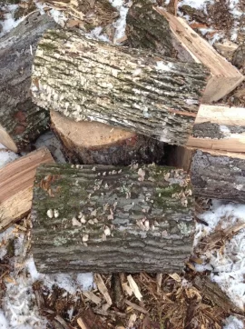 [Hearth.com] Tree id (post oak/red oak?)