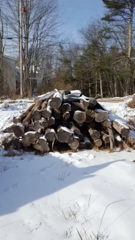 [Hearth.com] Today's Scrounge--post the free btu's