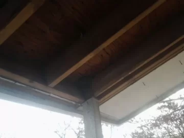 [Hearth.com] Paper Wasps nest by the front porch