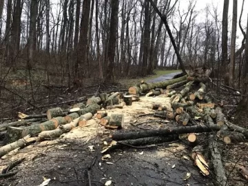 [Hearth.com] Today's Scrounge--post the free btu's