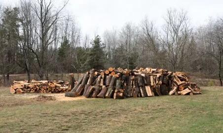 [Hearth.com] Firewood Porn