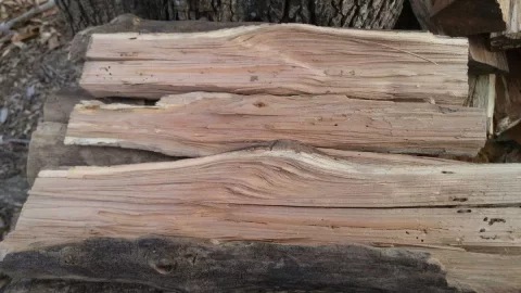 [Hearth.com] Pink Oak! (and yet another wood ID request)