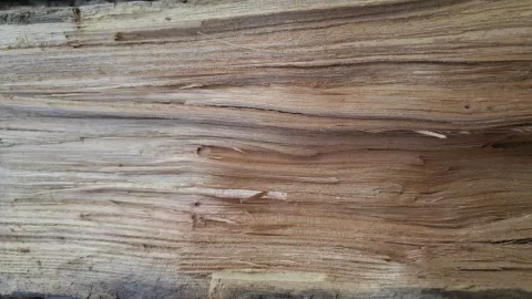 [Hearth.com] Pink Oak! (and yet another wood ID request)