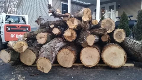 [Hearth.com] Four big oaks down, now what?