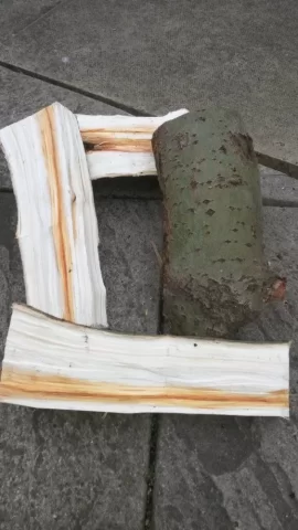 [Hearth.com] what wood is this?