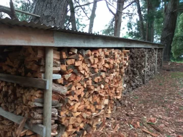 [Hearth.com] Filled the wood shed this week.