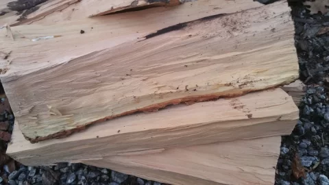 [Hearth.com] What Type of Wood? Cut a Cord Today.....