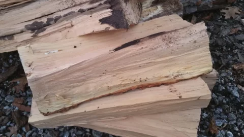 [Hearth.com] What Type of Wood? Cut a Cord Today.....