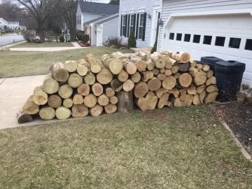 [Hearth.com] Black Locust Scrounge!