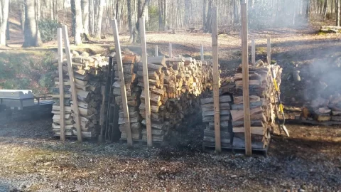 [Hearth.com] Mid-February, Wood Pile, and New Log Splitter