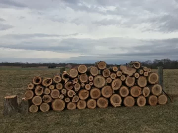 [Hearth.com] Scored some shagbark hickory today