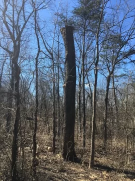 [Hearth.com] Tried this new splitting technique...the Poplar Killer!