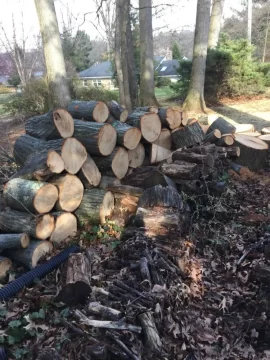 [Hearth.com] Free red oak. Come get it!