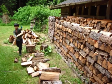 [Hearth.com] Neat wood stacks ?