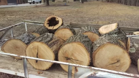 [Hearth.com] Oak rotted out in center