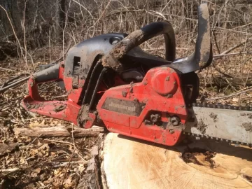 [Hearth.com] Need a small chain saw......