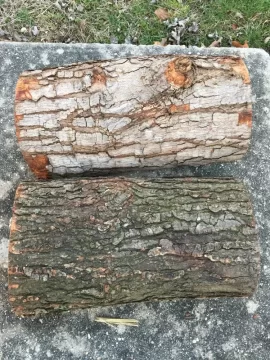 [Hearth.com] Wood ID