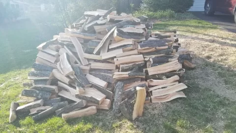 [Hearth.com] What to do with Redwood tree