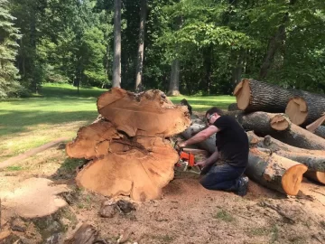 [Hearth.com] Battery powered chain saw