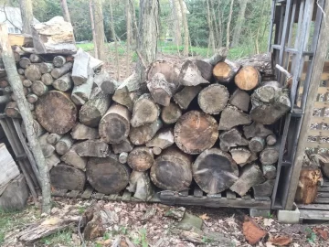 [Hearth.com] Official Connecticut Firewood Thread