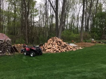 [Hearth.com] Free Firewood Northern Nj