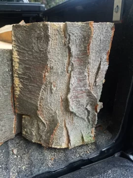 [Hearth.com] Kentucky Coffee Wood score?