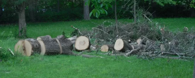 [Hearth.com] Could use help on an Ash score in zip 45305 (Bellebrook, OH)