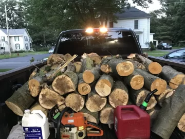 [Hearth.com] Tree ID Sugar maple and black birch?