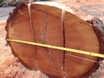 [Hearth.com] spliting big maple rounds that are rock hard