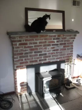 [Hearth.com] Cat in front of a nice warm fire.