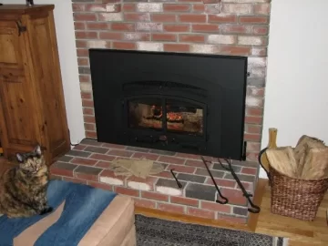 [Hearth.com] Cat in front of a nice warm fire.