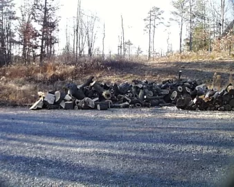 [Hearth.com] Scored some cuts from 7 trees taken down to make way for public library in town.