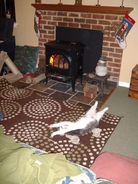 [Hearth.com] Cat in front of a nice warm fire.