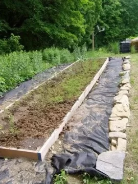 [Hearth.com] Anyone with a vegetable garden?