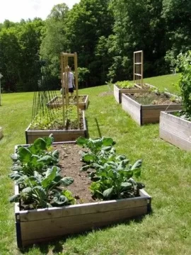 [Hearth.com] Anyone with a vegetable garden?