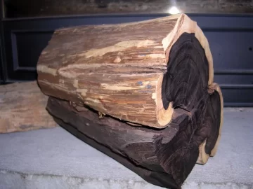 [Hearth.com] What wood is this? (black color)