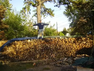 [Hearth.com] My Woodpile