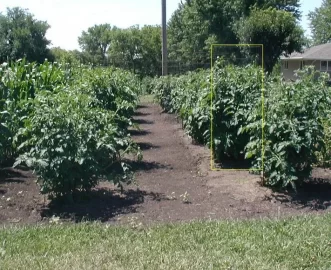 [Hearth.com] Anyone with a vegetable garden?