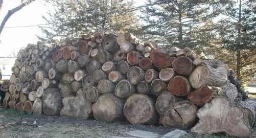 [Hearth.com] Woodpiles