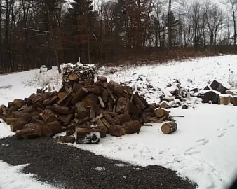 [Hearth.com] Out of wood, shut insert down, and then it snowed.