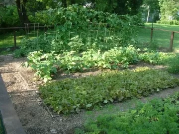 [Hearth.com] Anyone with a vegetable garden?