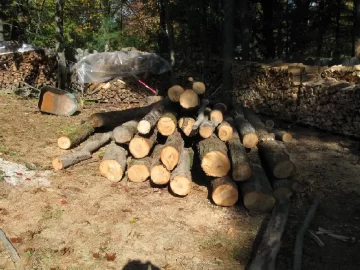 [Hearth.com] Found some log length in small loads