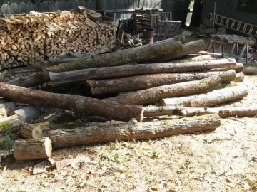 [Hearth.com] Found some log length in small loads