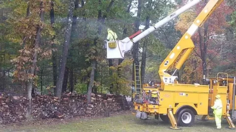 [Hearth.com] Another reason to be careful while cutting trees.